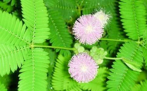 ���߲����ķ���300��