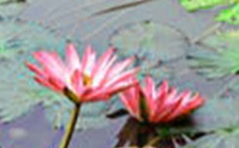 ����ĺɻ�������400�֣�ͨ��40ƪ��