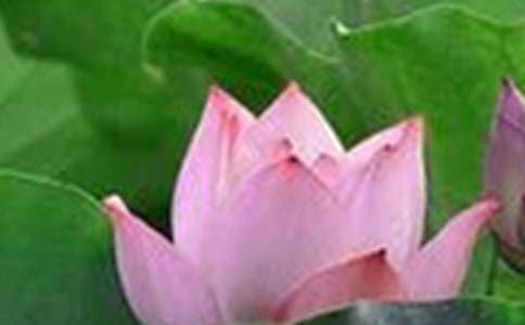 ����ϲ�g�Ļ����ɻ�����