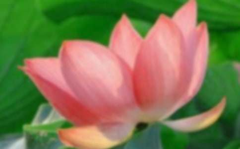 �ɻ���������200��