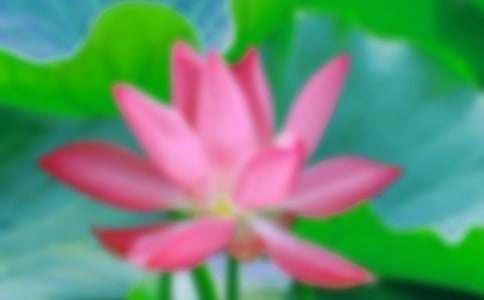 �P�ںɻ���500������