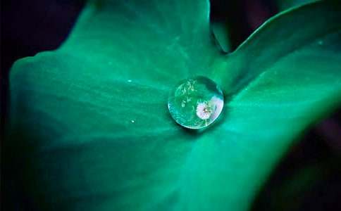 ���~����400��3ƪ