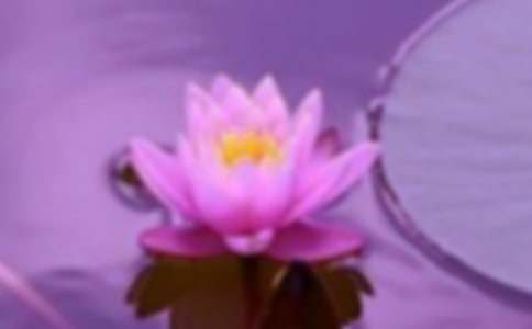 ���C�ľG����600��