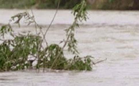 ���x��ˮ����600��3ƪ