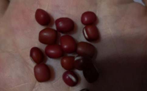 �t��������700��