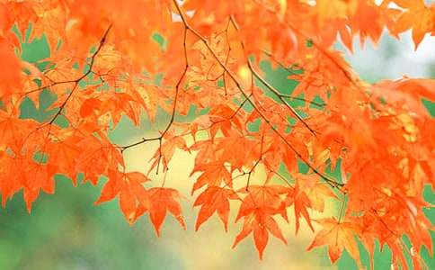 ����ļt�~���ģ����x35ƪ��