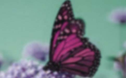 �Ґۺ����m����1000��