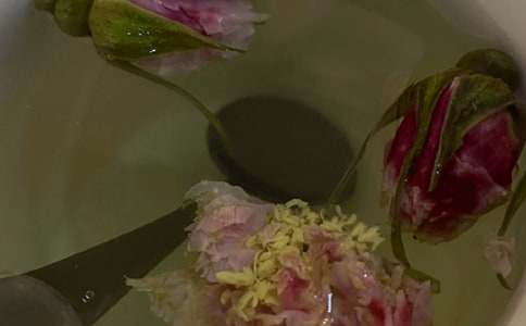 �ݻ��蔢������