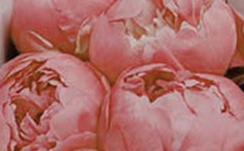 �_�����еĻ�������600��