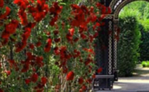 �����Ļ��@����800��