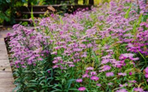 ���x���@����300����ƪ