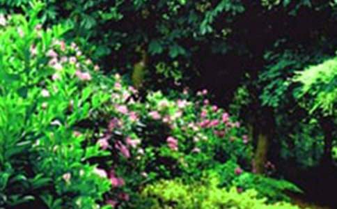 ��(m��ng)֮���@���x��ʹ������500��