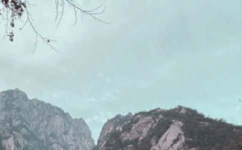 游黃山有感優(yōu)秀作文