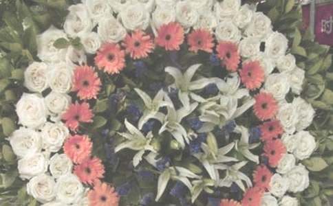 �P(gu��n)�ڟ�����������