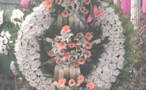 ����ĳ��(g��)�ؑ�ĳ��(g��)Ƭ������