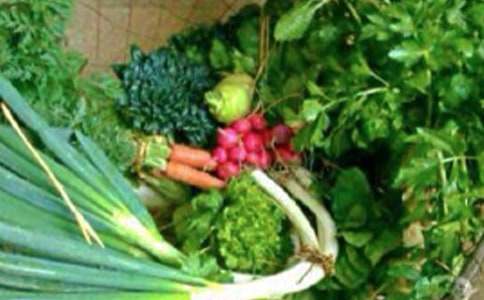 ��������300��4ƪ