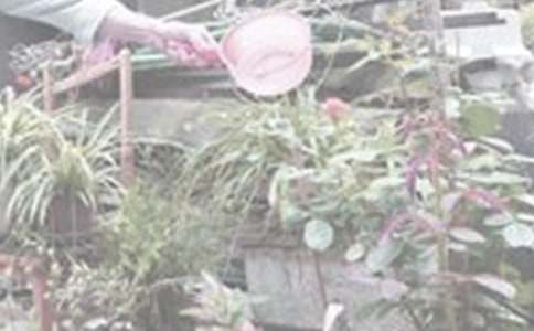 ��������400����ƪ