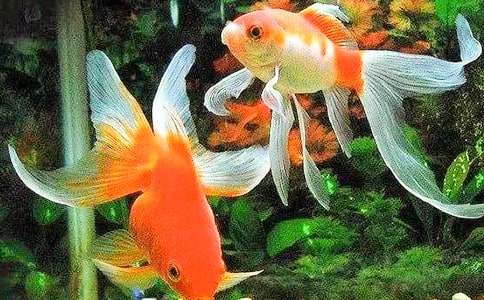 С���~����500����ƪ