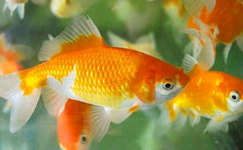 �o���~ȡ����С�W������600��