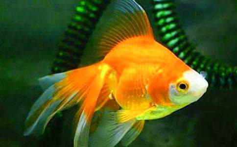 �I(m��i)���~(y��)����300�֣�ͨ��35ƪ��