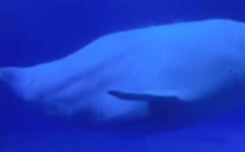 �L�~����300��8ƪ