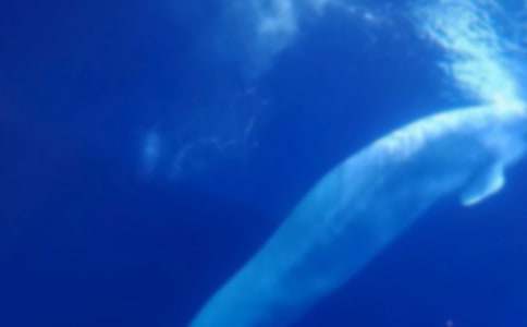 �L�~���U����800��