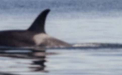 �����L�~������ƪ