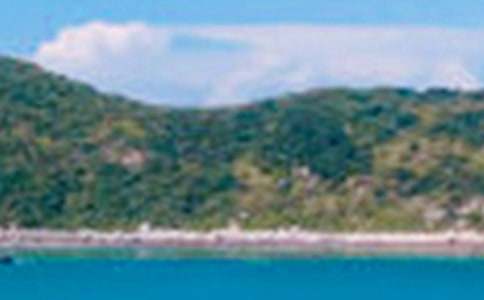 ������ɫ����700�֣����x5ƪ��