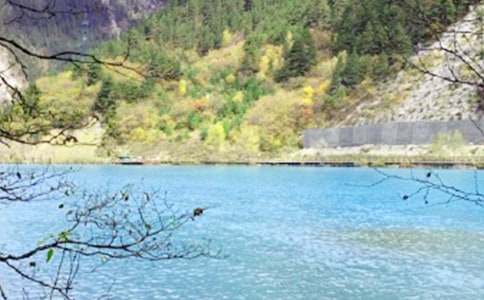 ��կ����������