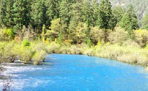 ���g�ɾ���կ�σ�(y��u)������900��