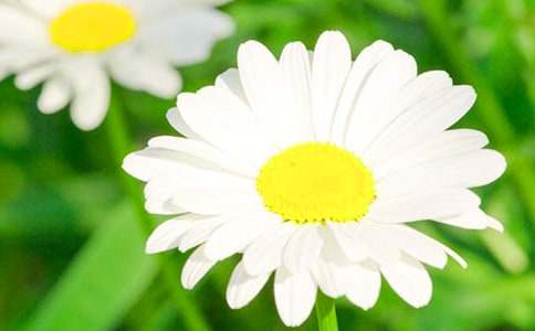 ���P(gu��n)�ջ��S�P����800��