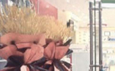 �µ��_�I(y��)�l���R�~	