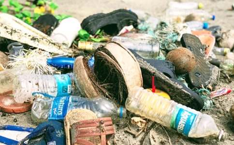 丟垃圾作文300字三篇