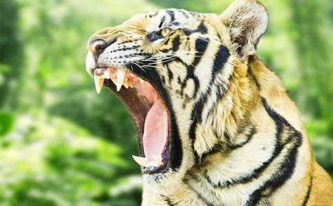 �P(gu��n)���ϻ�����300��