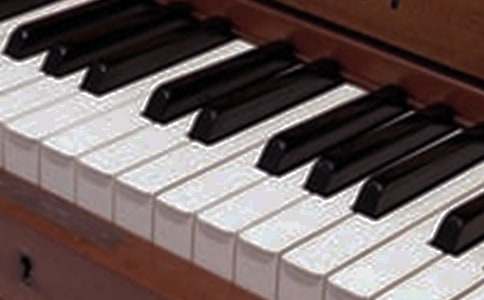 神奇的樂(lè)器作文500字