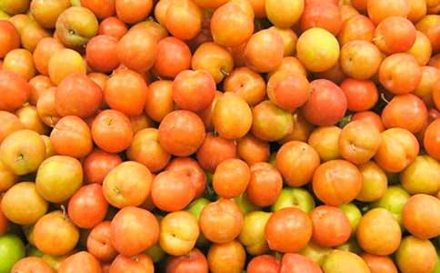 李子樹的精神的作文700字(通用12篇)