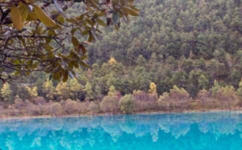 ��������500�ֺϼ���ƪ