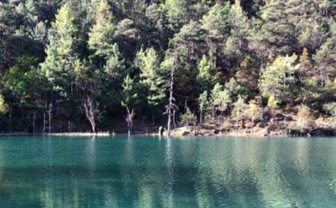 �茑�����ųǵ�����500�֣����x9ƪ��