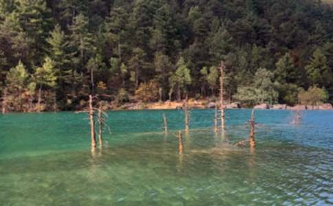 ����������700��