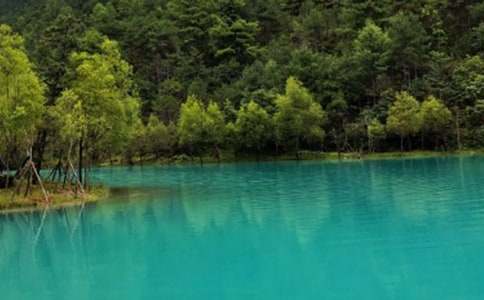 麗江作文500字(通用53篇)