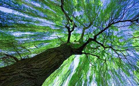 ��������^�쌦���С�W(xu��)���꼉����