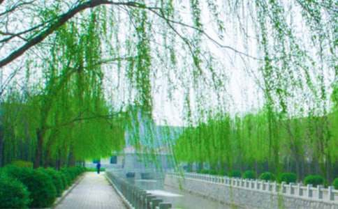 �茑(xi��)����(sh��)�����ķ���800�֣�ͨ��32ƪ��