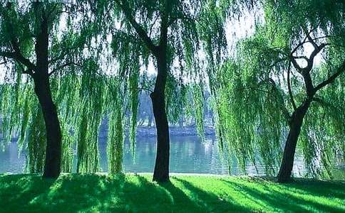 ��������������500��