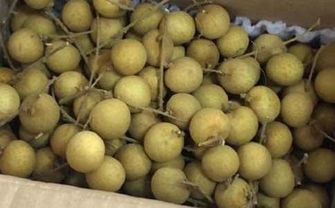 �����x�����ۘ�(sh��)������ƪ