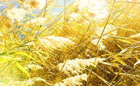 �JȔ?sh��)Ć�ʾ���?/></p>
<p>����������ʲô�������Ǿ`�ŵĻ������������¸�ȥ�挦(du��)���y��Σ�U(xi��n)�ľ������������JȔ���L(f��ng)��������(zh��ng)���B��(qi��ng)���������� (t��ng)�JȔ�o�ҵĆ�ʾ����Ո(q��ng) (t��ng)���渵���(l��i)��</p><p>�����������ż�Ҋ(ji��n)�^(gu��)�S���JȔ�������p�p�ؿ��ڰ�߅���S��΢�L(f��ng)���������(d��ng)���q��һλλ��l��Ů��һ��Մ?w��)������õ����������������õĕr(sh��)����</p><p>������һ�Σ��ҏ�3�Ǵ�������������Ҋ(ji��n)�쐞�����ģ������ܲ������ź��⹫һ���������������������ϕ�ĵ��������s�o��ȥ��æ�����Ȅ����M(j��n)��(l��i)���҂��۵Úⴭ���������Ϳ�Ҋ(ji��n)���桰�W�������������_(k��i)ʼ�����˃A�������</p><p>������ͻȻ��Ҋ(ji��n)�Ӱ�߅���JȔ�������c��������������֮�e������һЩ�JȔ�D�y��ֱ���������¸ҵ��挦(du��)���L(f��ng)������Щ�JȔ���^�ʚ�؏��������@��������������Щ�JȔ�ѽ�(j��ng)һ���w�����������L(f��ng)�۔����������ǑK���̶����@Щ�������L(f��ng)�ƺ������ˌ�(du��)���đK����Ӳ�������СС����ˮ����Ҳ׃���L(f��ng)�Ŀ��ܣ������L(f��ng)�������ݺݵش��ڴ������JȔ�����ҵ��ľ�������(l��i)�������@Ƭ�������JȔ���@�ӟo(w��)�ʵ���ʧ�������L(f��ng)�o�o��߬������������߀��</p><p>�������^(gu��)���JȔͻȻ������uѪ�Ƶ��֡�վ��������(l��i)���S���L(f��ng)�h�h���Ƶ��赸���L(f��ng)�ƺ��ں𡰄e�������������ܲ����ģ���</p><p>������һ��(hu��)�����L(f��ng)�����ˣ���Ҳ���������@һ��(ch��ng)�L(f��ng)��ƽϢ�����ҵ�����˼�w�f(w��n)ǧ��?ji��n)α����JȔ�ܲ���֧�ε��������</p><p>�����ڶ��������������̷����´����ܵ����_(t��i)߅���JȔ���l(f��)�F(xi��n)�JȔ��Ȼ߀���������L(zh��ng)�ø���ǰһ�������[�[�����f���L(f��ng)�Ѓ�(y��u)�����赸���JȔ�U�����ԭ��(l��i)���։������Y(ji��)��(sh��)�������룺�JȔ���(ji��n)��(qi��ng)����(j��ng)�v���@�ӵ�ĥ�y���Ժ����ٴ���L(f��ng)������Ҳ����(hu��)���ˣ��挦(du��)��(y��ng)���@��һ��Ԓ������(j��ng)�v�L(f��ng)������ôҊ(ji��n)�ʺ����</p><p>�������ڌW(xu��)��(x��)��ҲҪ���JȔ�W(xu��)��(x��)���������ǈ�(ji��n)��(qi��ng)���挦(du��)�κ����y��</p><script>s(