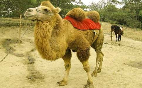 �T������500�֣����x32ƪ��