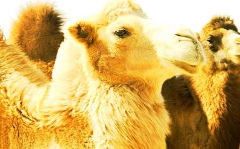 �������300����ƪ