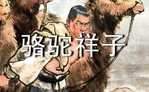 駱駝祥子作文范文500字