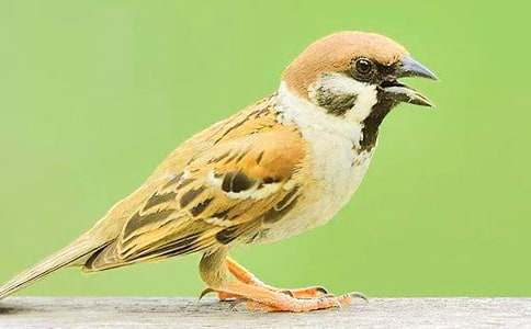 �P(gu��n)����ȸ����500��3ƪ