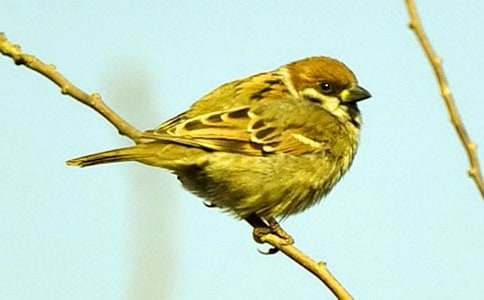 �w������ȸ����1500��